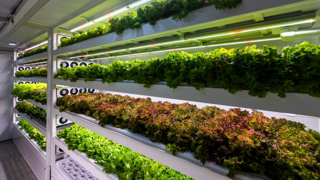 Container Farm - Side View Interior